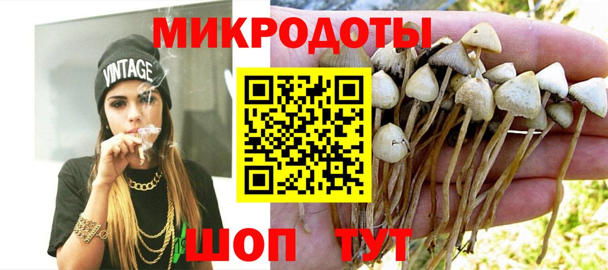Каменск-Шахтинский  Галлюциногенные грибы Psilocybe  Вход с VPN  Псилоцибиновые грибы Psilocybine cubensis 